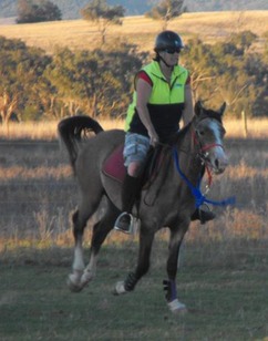 Wootton Audacious Cantering